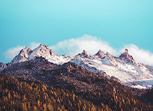 星空体育官网-全新鹈鹕血洗猛龙新主场 大范甘迪喜迎首秀胜利